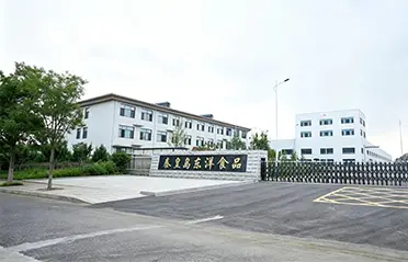 250 milyon RMB investisiya və 40,000㎡ fabriki ilə Dongyang Foods yüksək keyfiyyətli ani əriştə istehsalı üçün güclü zəmin yaratmışdır.