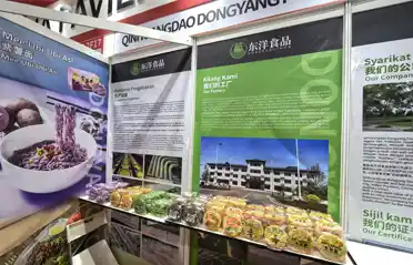 Malayziyada qızardılmamış əriştə axtarırsınız? Qinhuangdao Dongyang Qidaları Beynəlxalq Halal Sərgisində nümayiş olunur Malayziyada qızardılmamış əriştə axtarırsınız? Qinhuangdao Dongyang Qidaları Beynəlxalq Halal Sərgisində nümayiş olunur